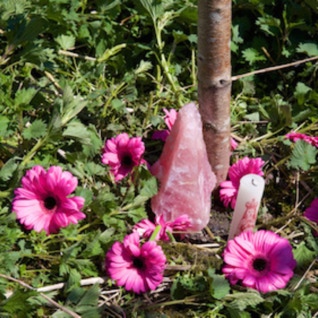 Detail der Baubeginn-Zeremonie