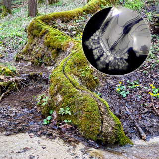 Bild einer Quelle mit zugehörigem Eiskristallbild