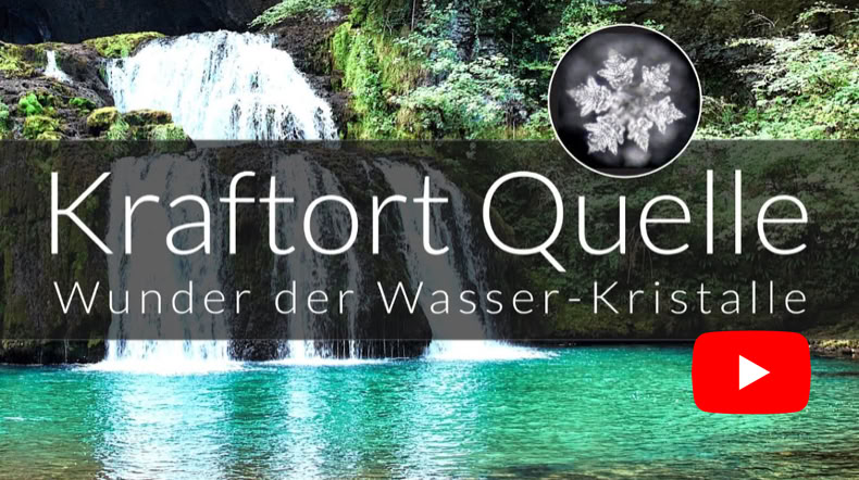 Video Video abspielen