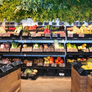 Blick auf Gemüse-Bereich