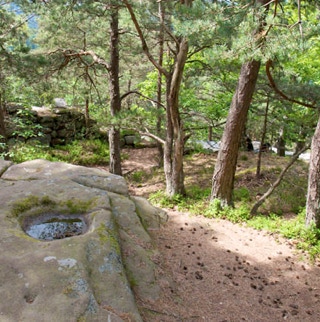 Historischer Schalenstein im Wald