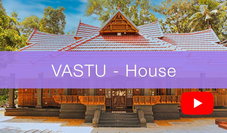 Video Video abspielen