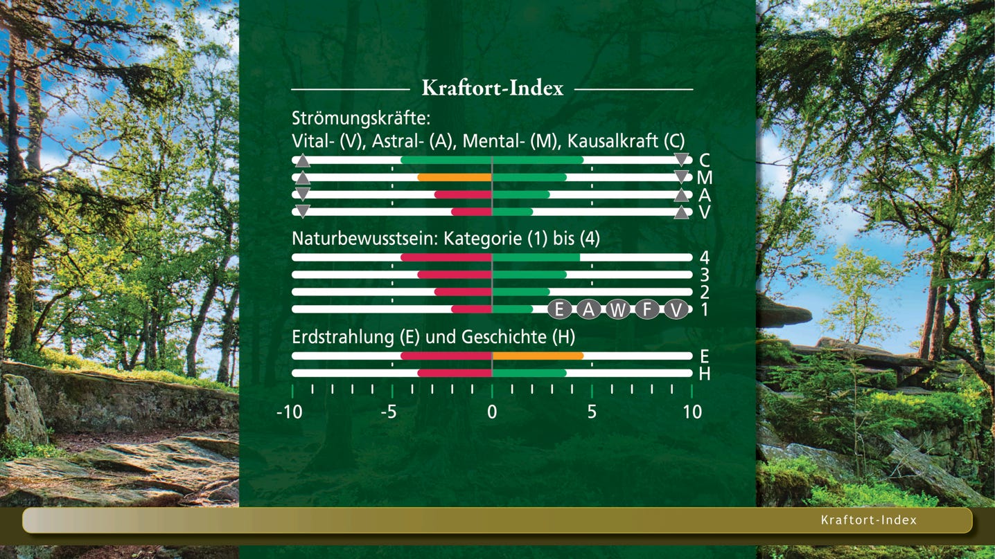 Kraftort Index_Im Hintergrund Wald mit Felsen